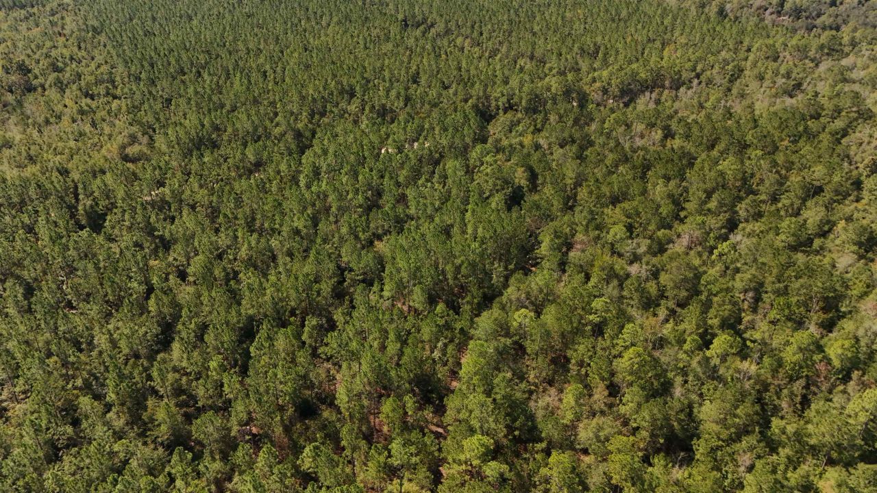 0 Cross Country Boulevard, Lot #70, Marianna, FL 32446 Photo