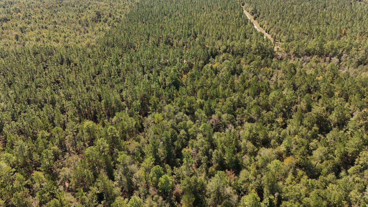 0 Cross Country Boulevard, Lot #70, Marianna, FL 32446 Photo