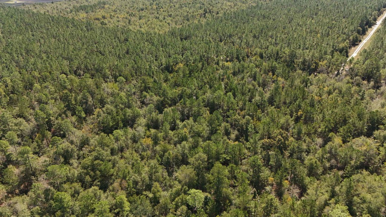 0 Cross Country Boulevard, Lot #70, Marianna, FL 32446 Photo