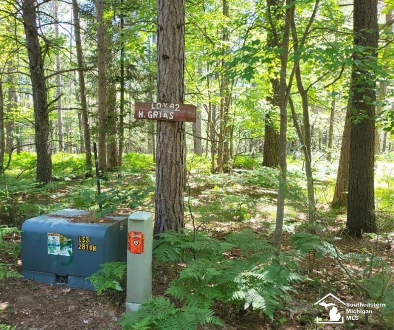 Lot 82 Evelyn Avenue, Grayling, MI 49738 Main Photo