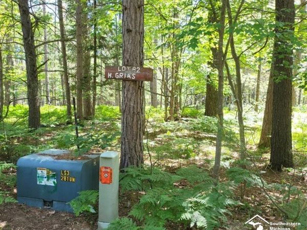 Lot 82 Evelyn Avenue, Grayling, MI 49738