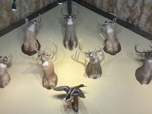 201 Morgan Loop Rd Road, DeWitt, AR 72042