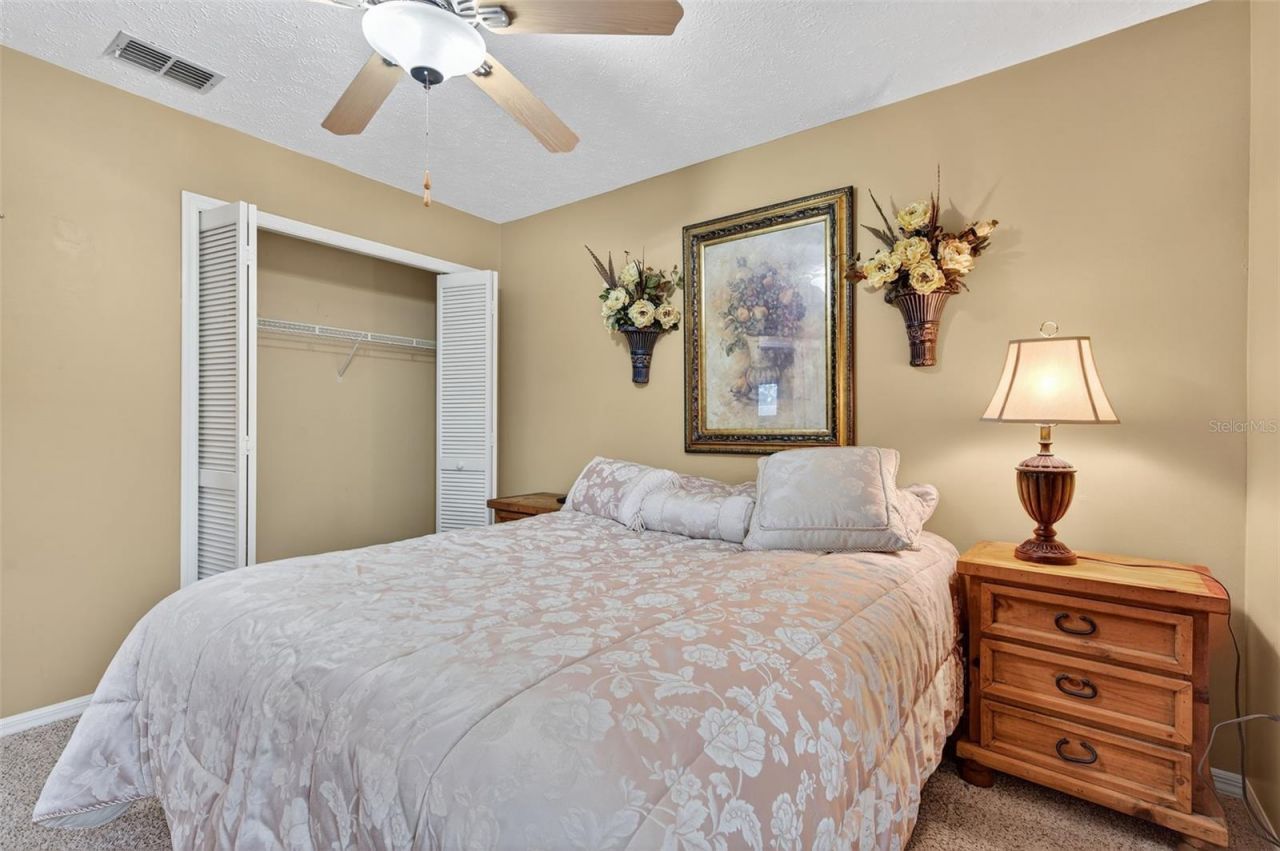 2715 Mock Orange Court, Valrico, FL 33594 Photo