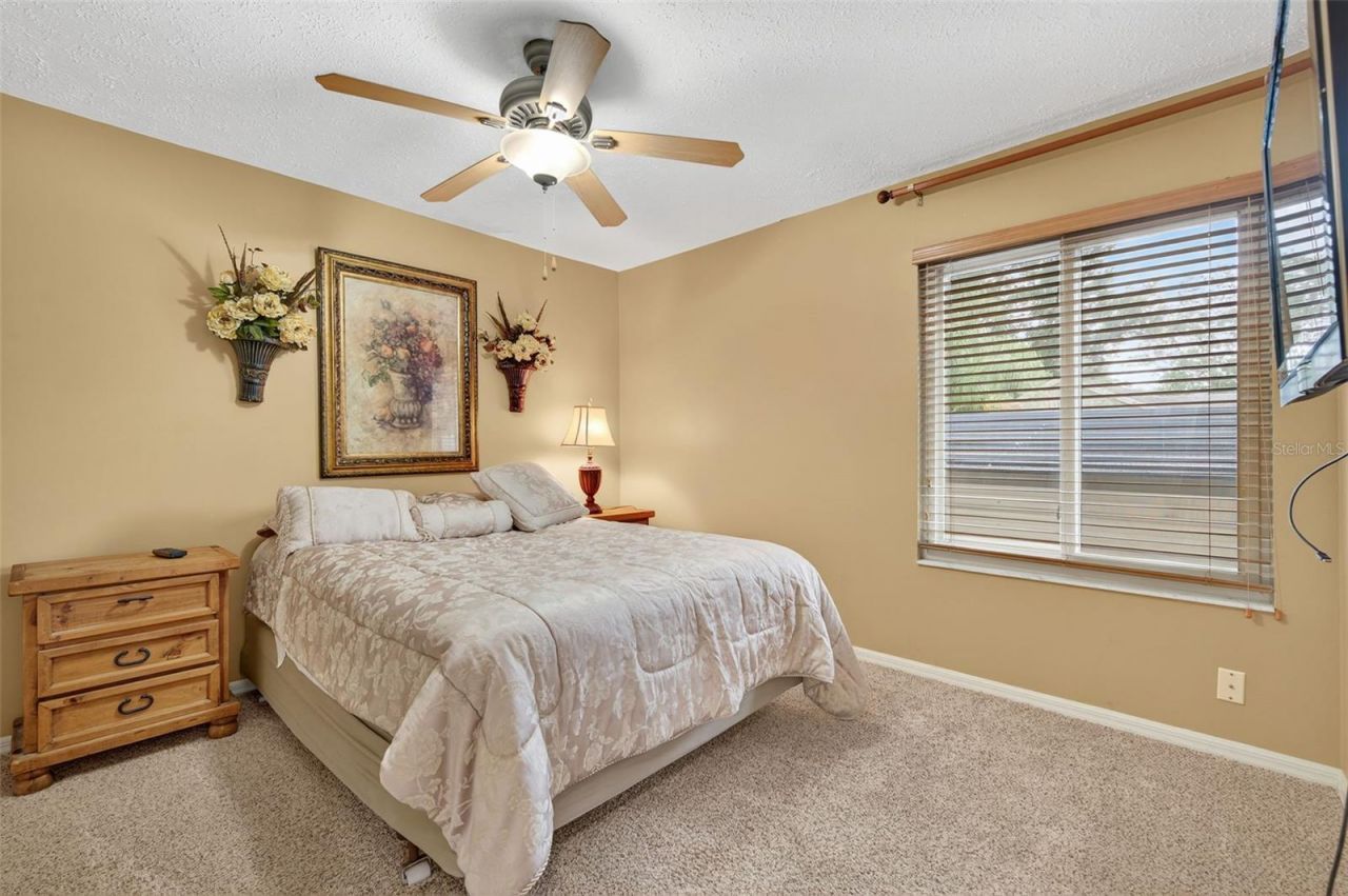 2715 Mock Orange Court, Valrico, FL 33594 Photo