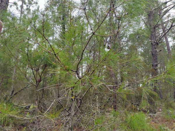 171 7TH WAY, INTERLACHEN, FL 32148