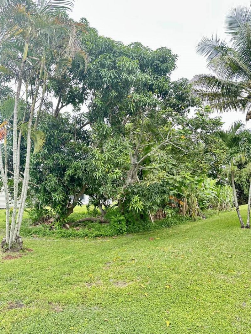 2901 SE Eagle Dr, Port Saint Lucie, FL 34984 Photo