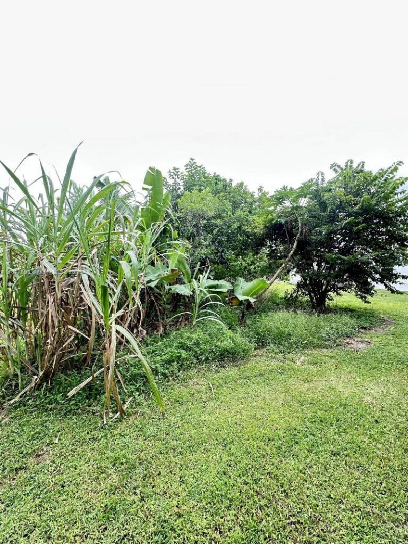 2901 SE Eagle Dr, Port Saint Lucie, FL 34984 Photo