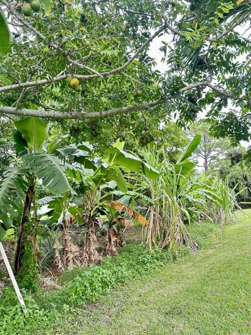 2901 SE Eagle Dr, Port Saint Lucie, FL 34984 Photo