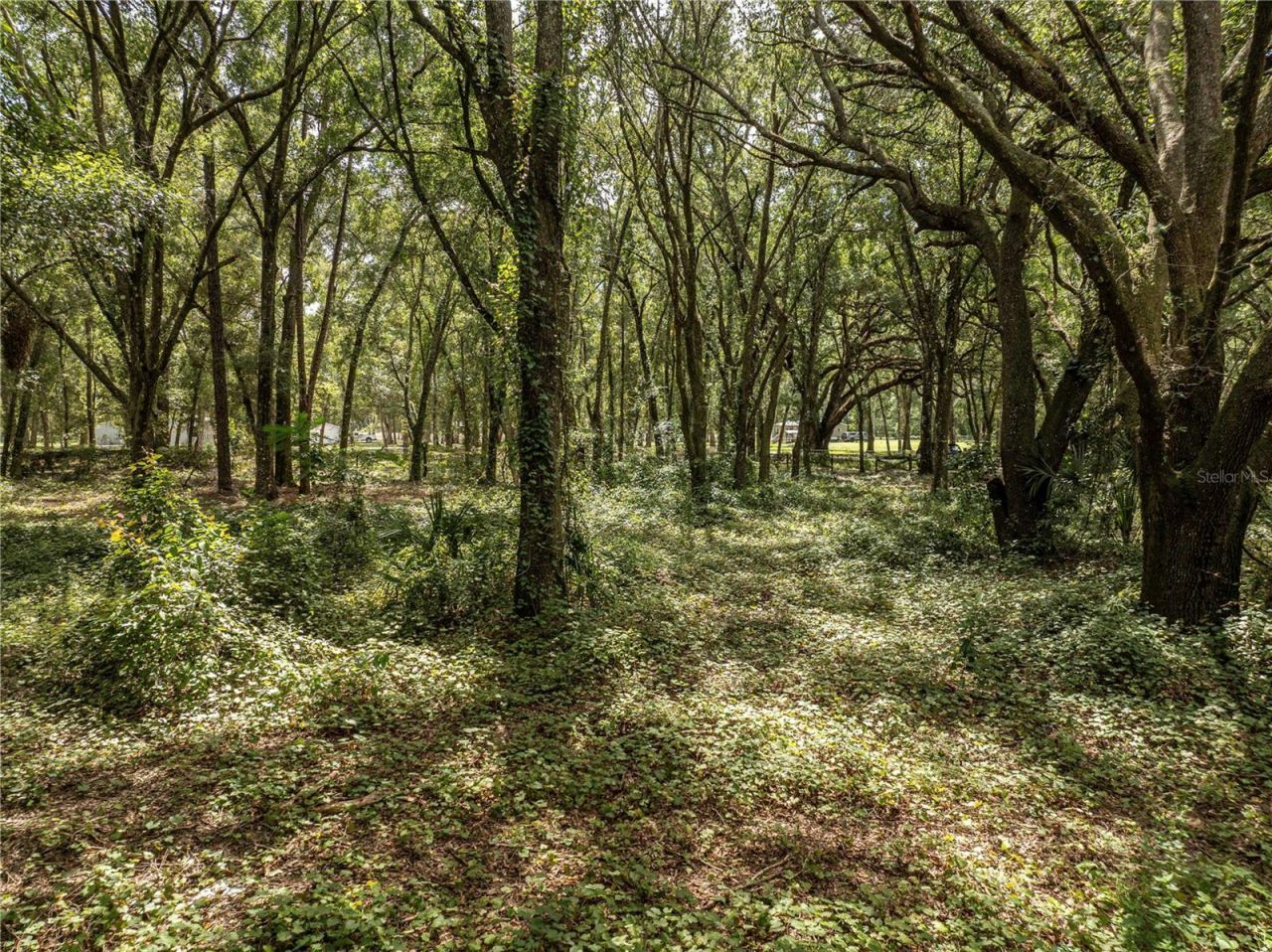 2946 SE 21st Avenue, Sumterville, FL 33585 Photo