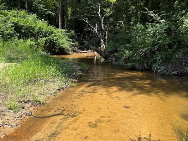 00 Brooksville Rd, Other, MS 39339