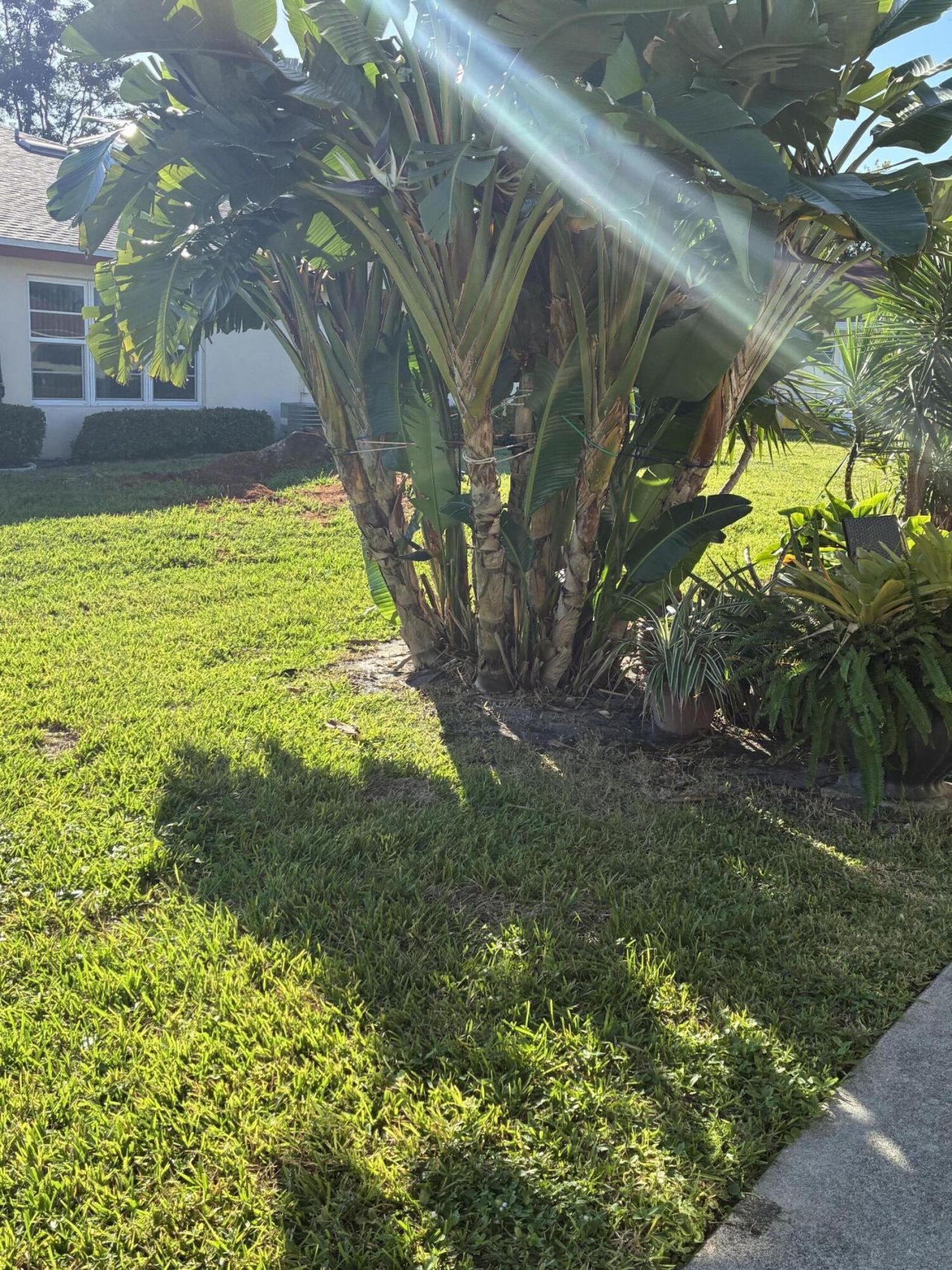 4540 NW 3rd Court, Unit C, Delray Beach, FL 33445 Photo