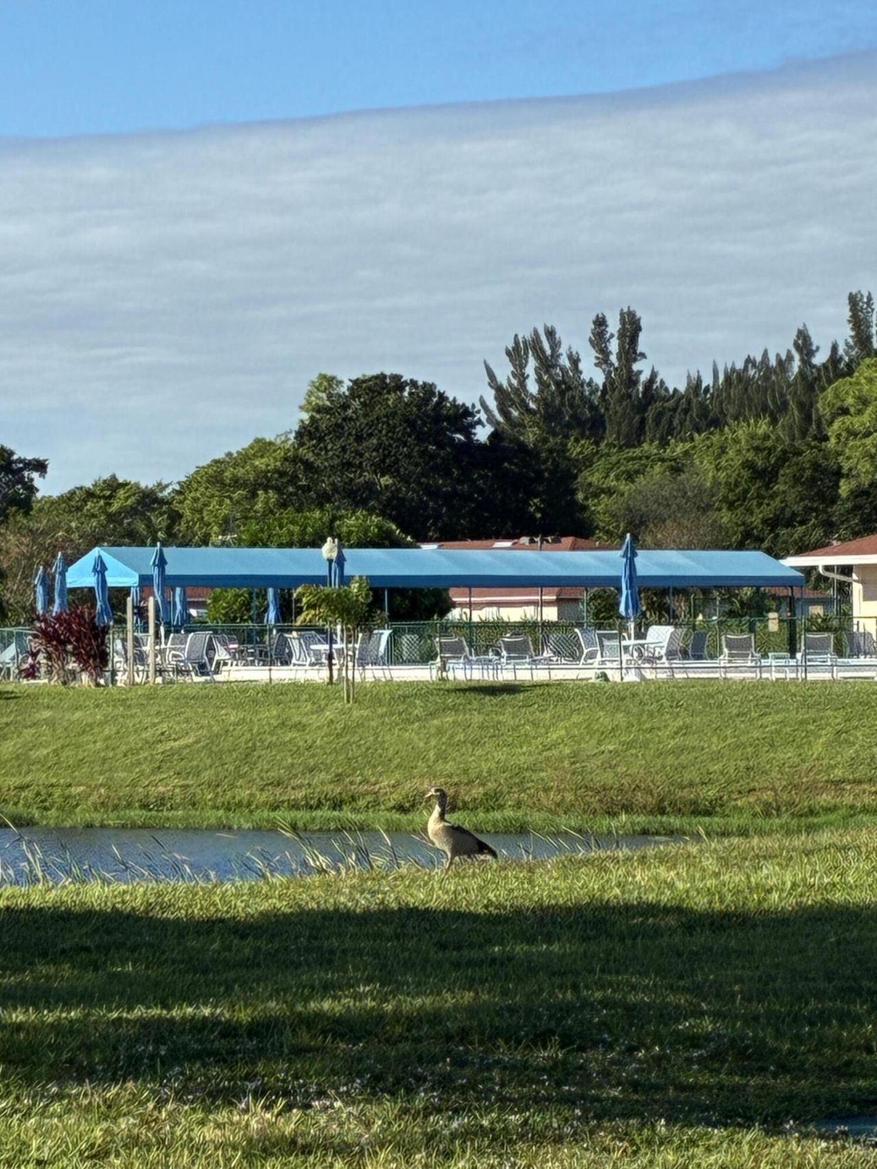 4540 NW 3rd Court, Unit C, Delray Beach, FL 33445 Photo