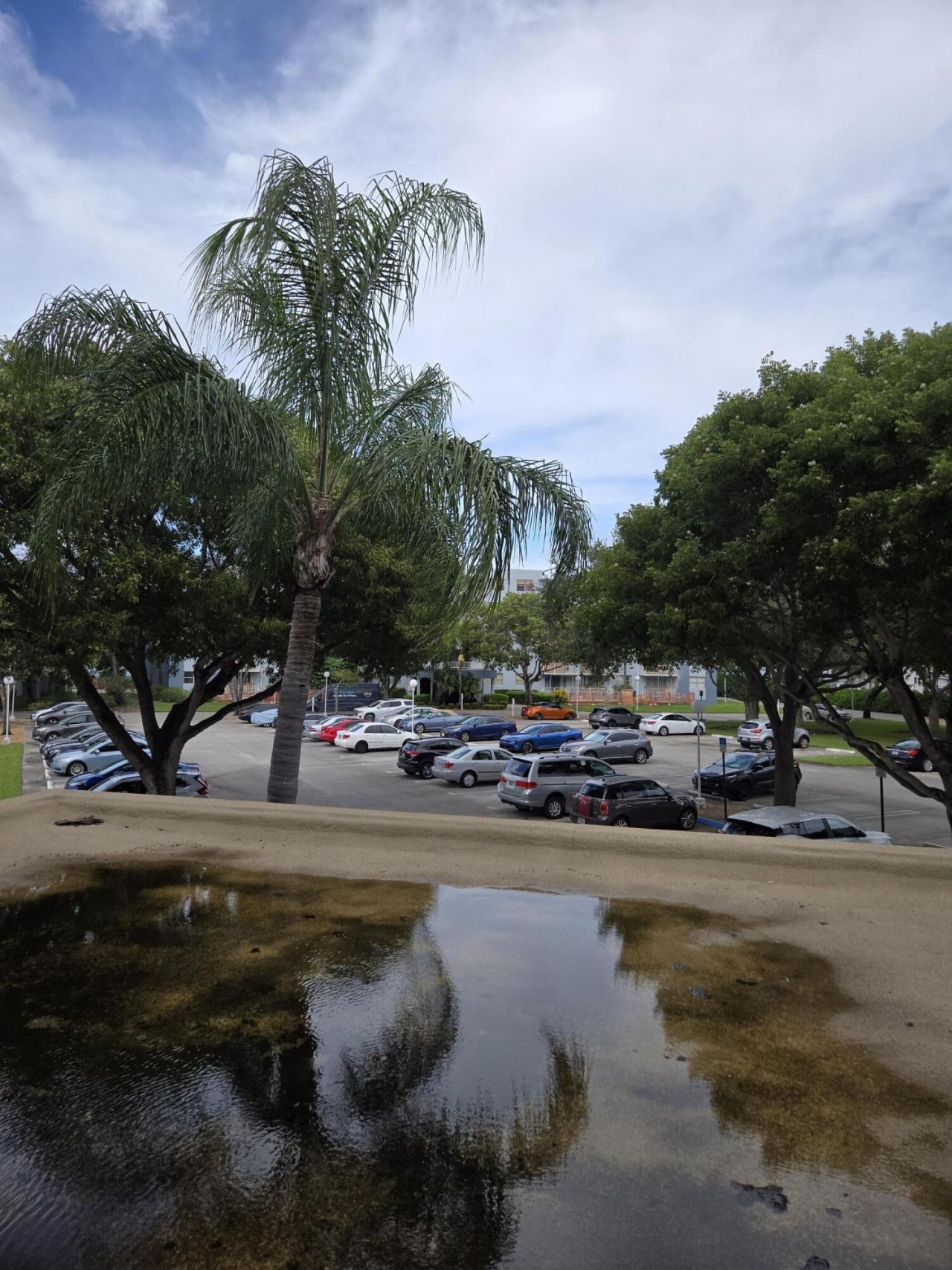 500 Executive Center Drive, Unit 2k, West Palm Beach, FL 33401 Photo