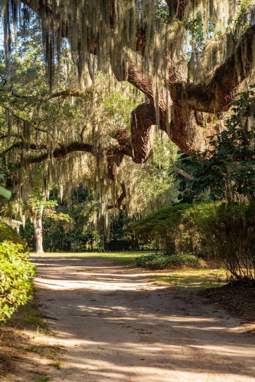 2518 Grace Chapel Road Photo 8