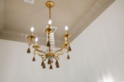 563 Lantana Circle photo 4