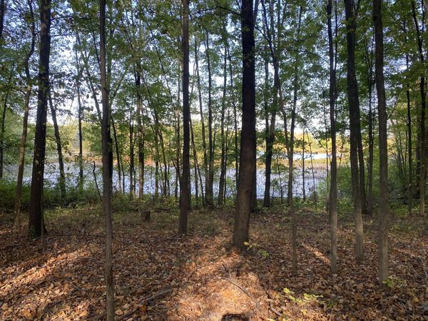 9540 Vincent Avenue SE, Alto, MI 49302