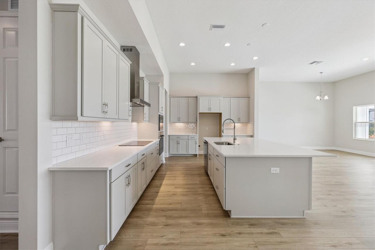 10303 Surrey Rose Drive, San Antonio, FL 33576 Photo