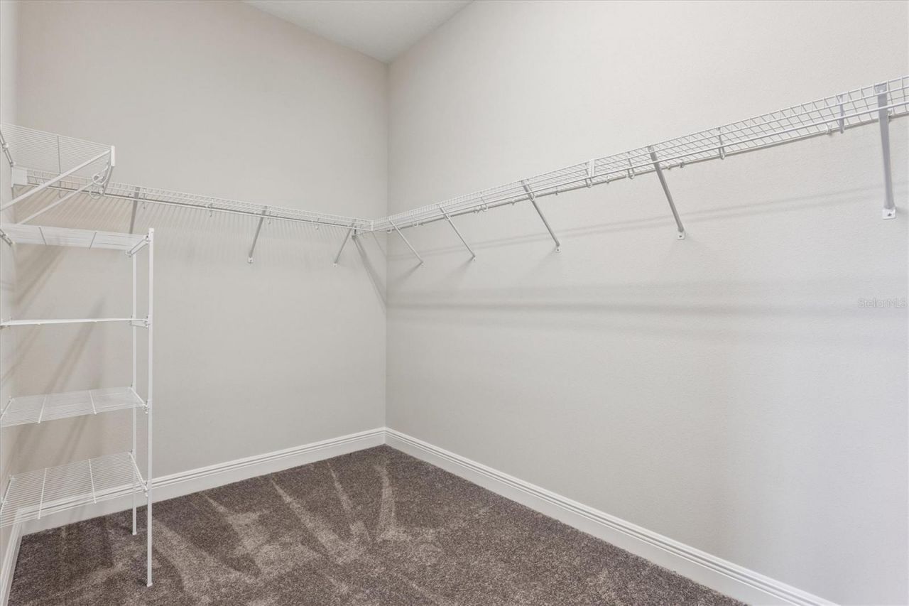 10303 Surrey Rose Drive, San Antonio, FL 33576 Photo