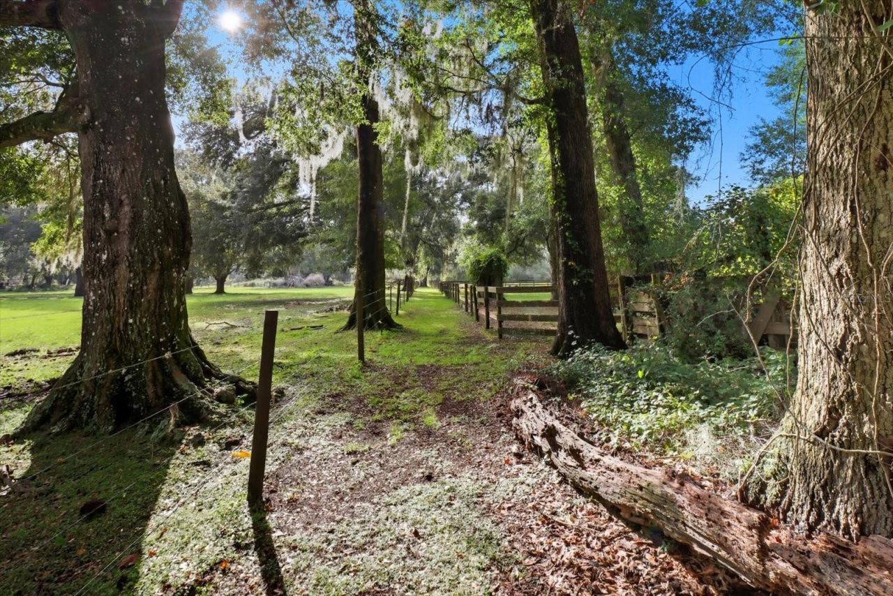 12550 SW 16th Avenue, Ocala, FL 34473 Photo
