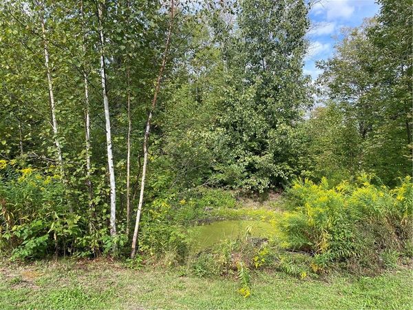 421 Welch Road, Stamford, NY 12167