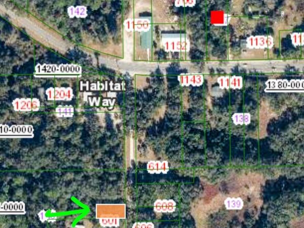 607 Lime St, Crescent City, FL 32112