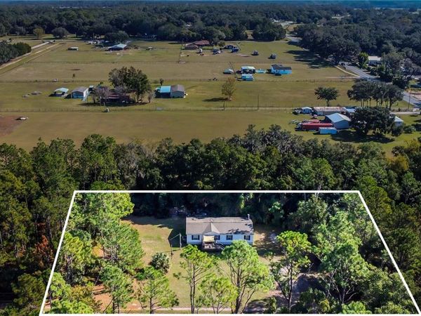 42312 WEBSTER STREET, ALTOONA, FL 32702