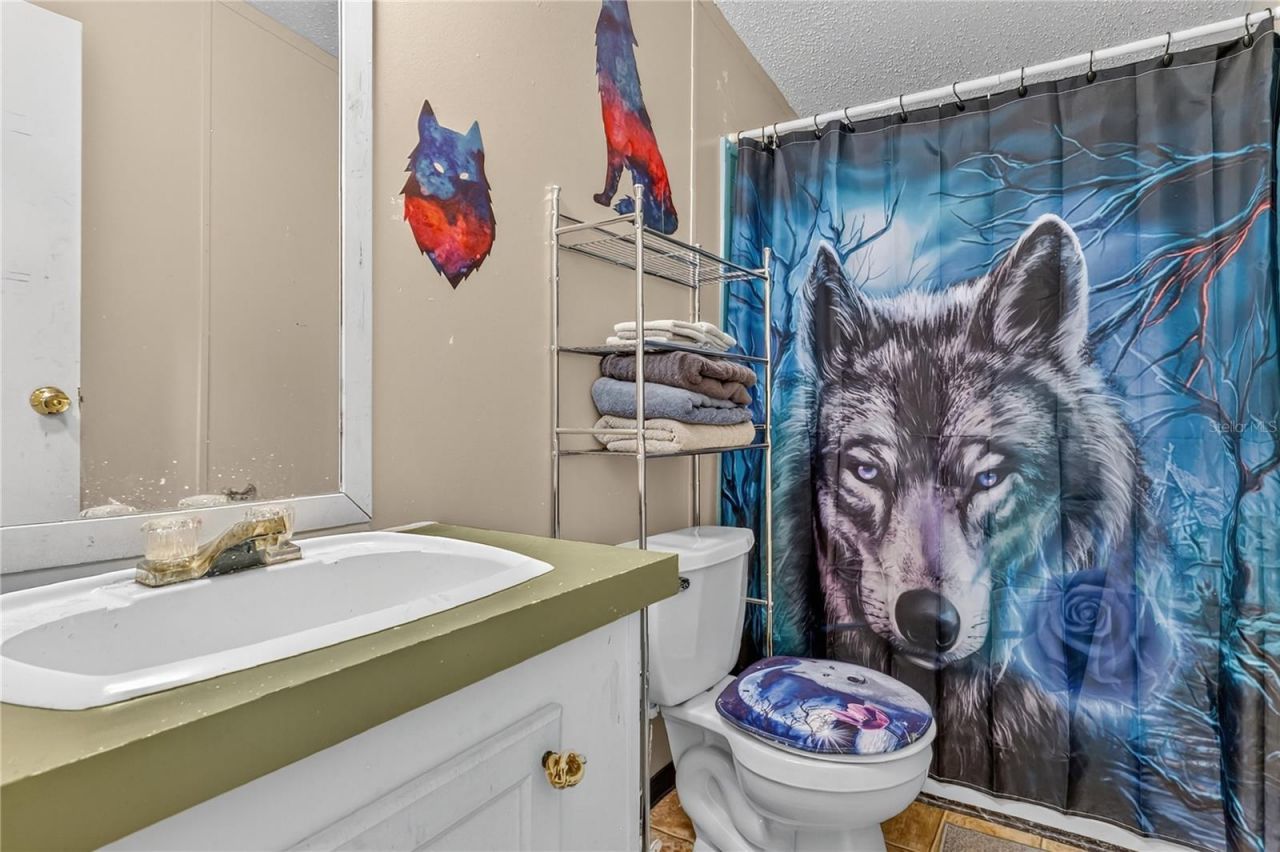 42312 Webster Street, Altoona, FL 32702 Photo