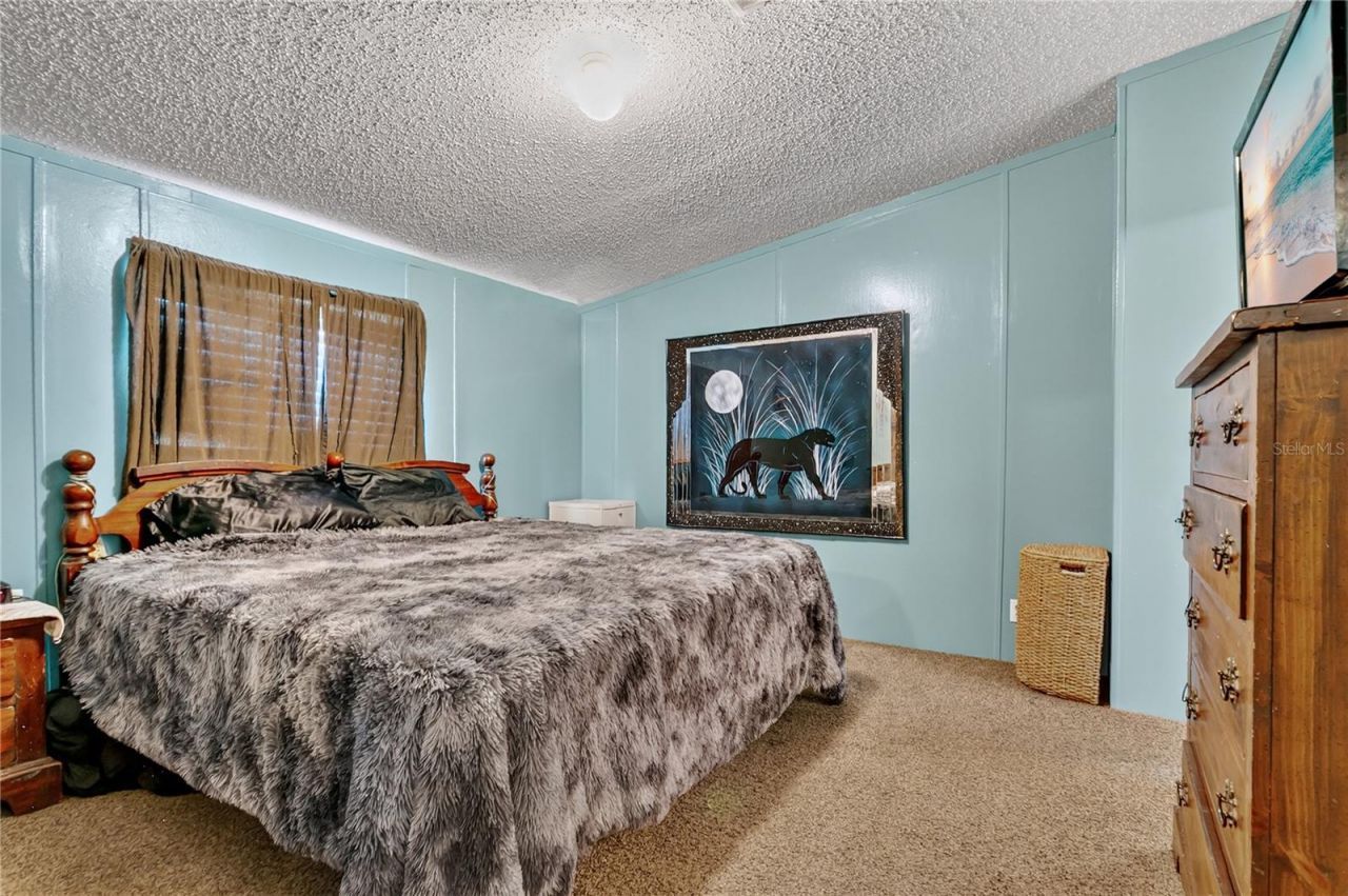 42312 Webster Street, Altoona, FL 32702 Photo