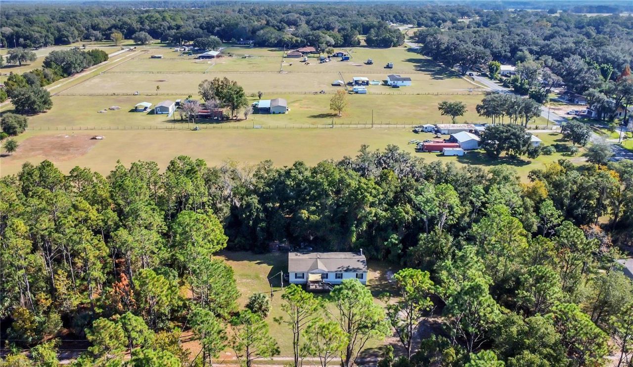 42312 Webster Street, Altoona, FL 32702 Photo