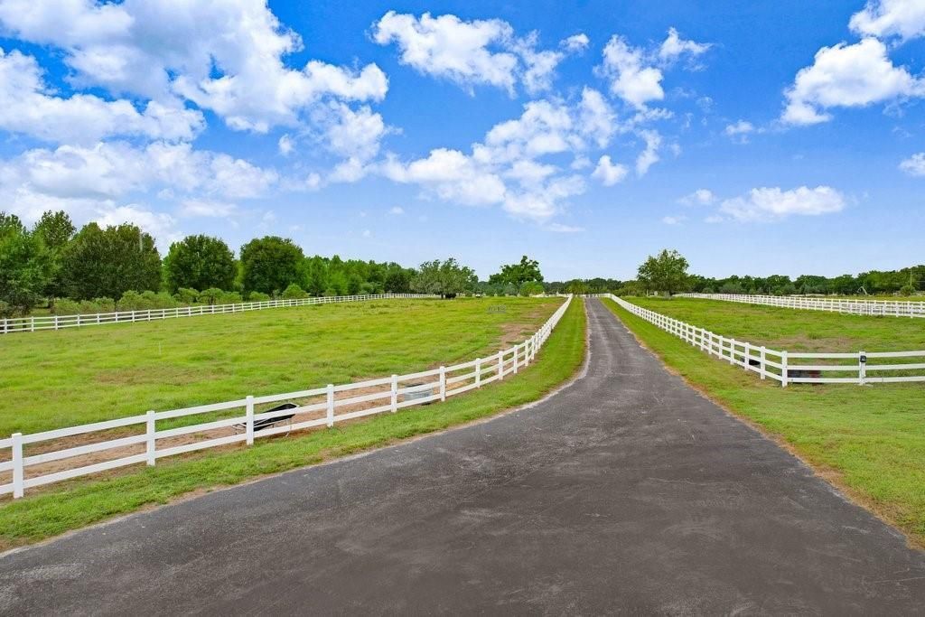 11715 Taylor Road, Thonotosassa, FL 33592 Photo