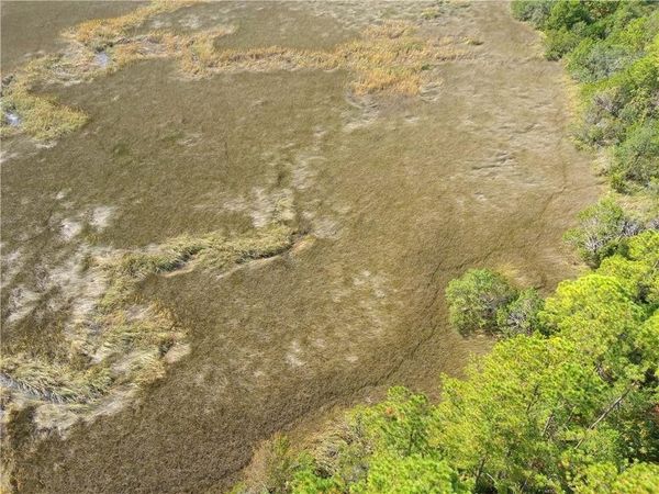 0 Confederate Point Drive, White Oak, GA 31568
