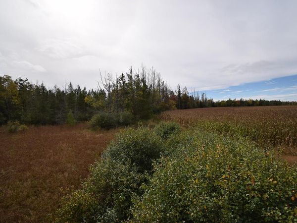 Lt1 OLD HIGHWAY 8, Laona, WI 54541