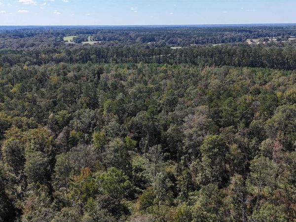 TBD La Hwy 63, Clinton, LA 70722