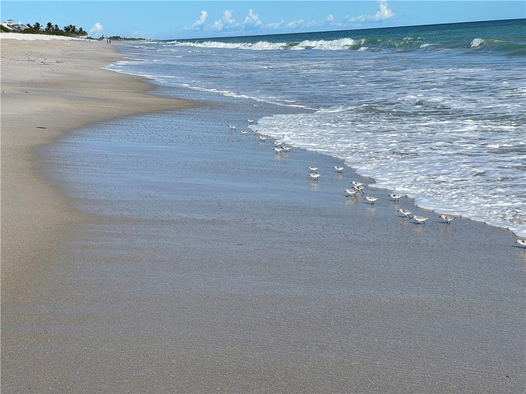 106 King Fisher Way, Sebastian, FL 32958 Photo