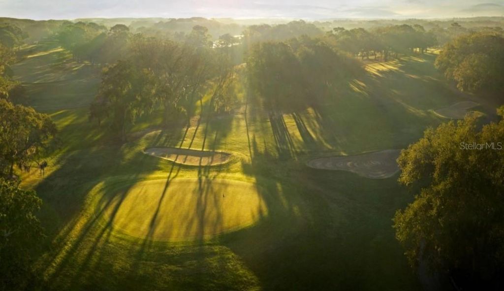 1874 Havenly Ridge, Palm Harbor, FL 34683 Photo