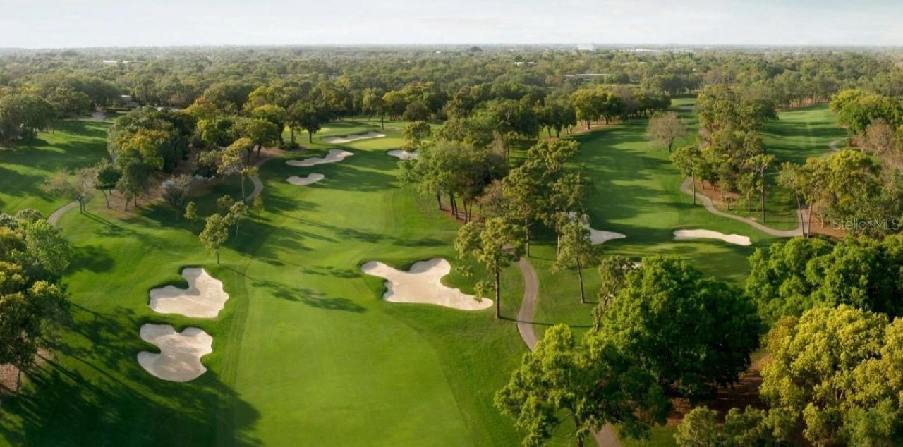 1874 Havenly Ridge, Palm Harbor, FL 34683 Photo