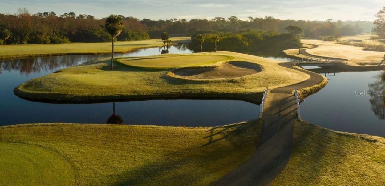 1874 Havenly Ridge, Palm Harbor, FL 34683 Photo