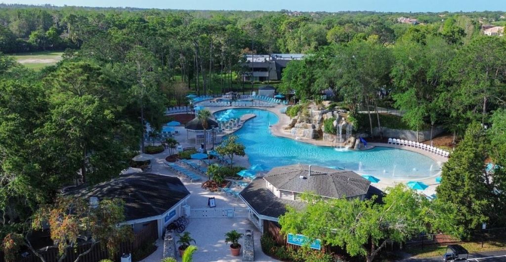 1874 Havenly Ridge, Palm Harbor, FL 34683 Photo