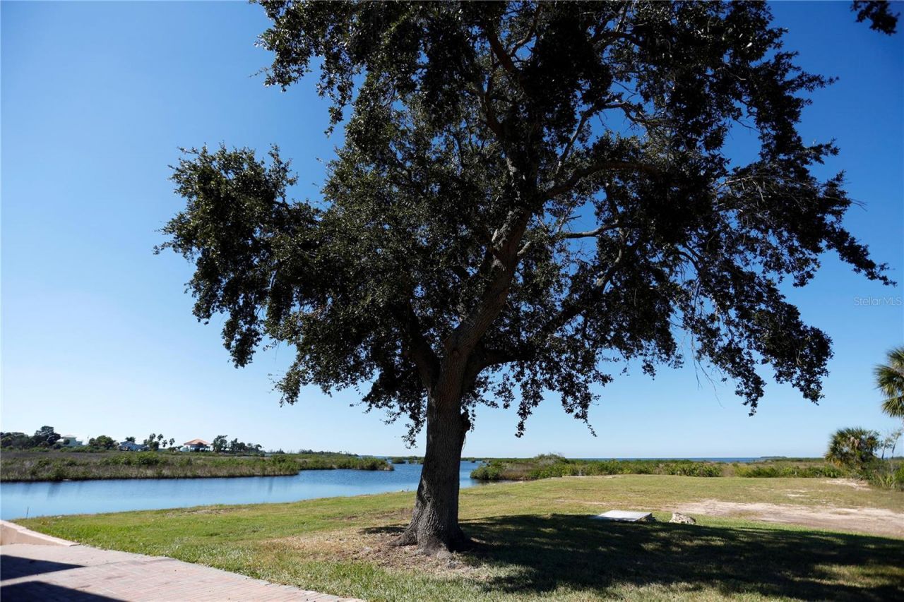 3194 Indian Gulf, Spring Hill, FL 34607 Photo