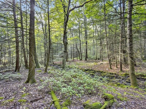 154 Schwabie Turnpike, Kerhonkson, NY 12446