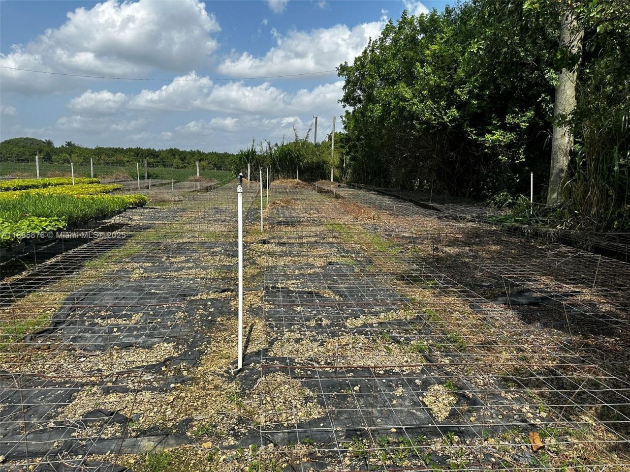 19815 SW 256 St, Homestead, FL 33031 Photo