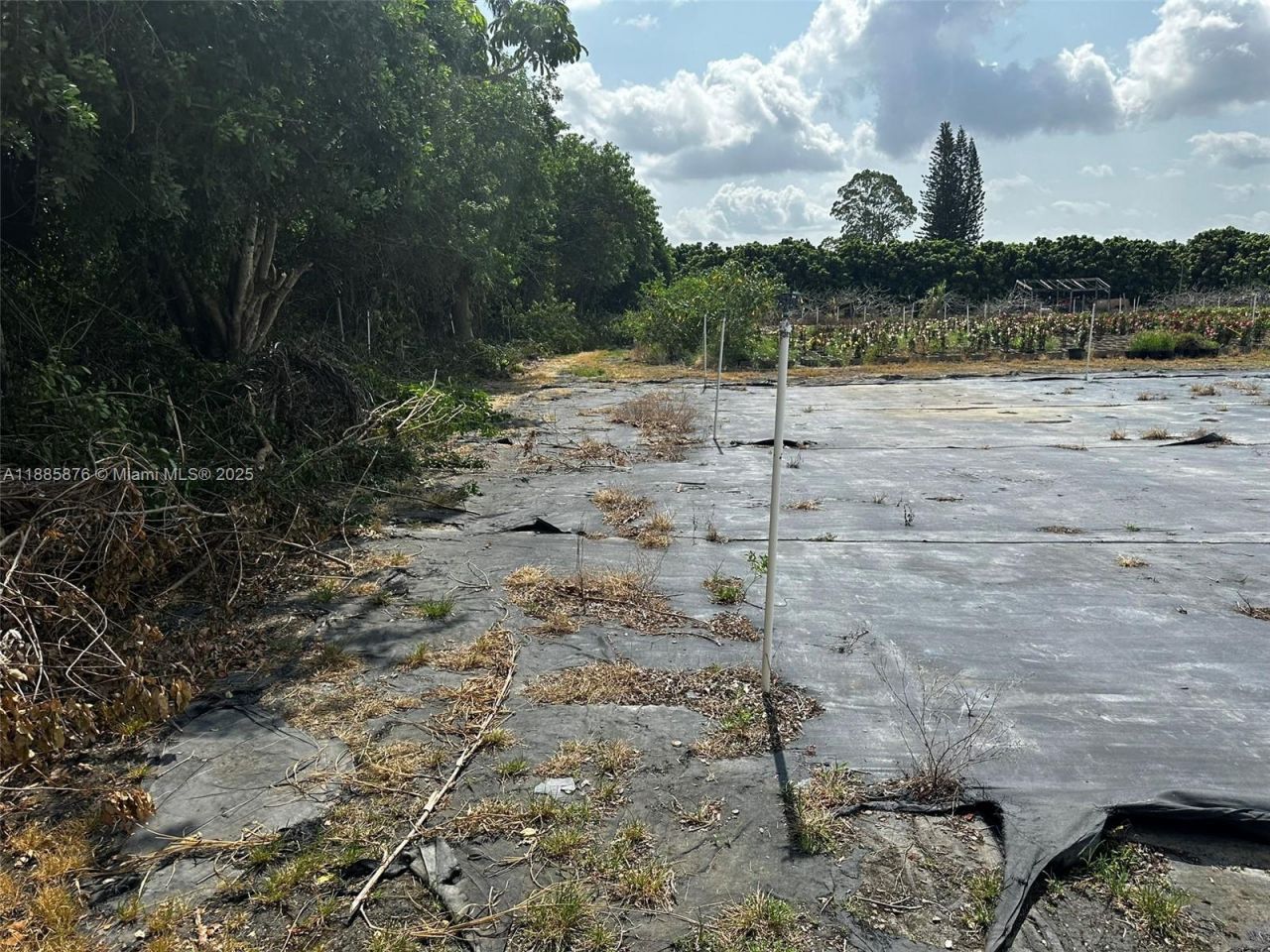 19815 SW 256 St, Homestead, FL 33031 Photo