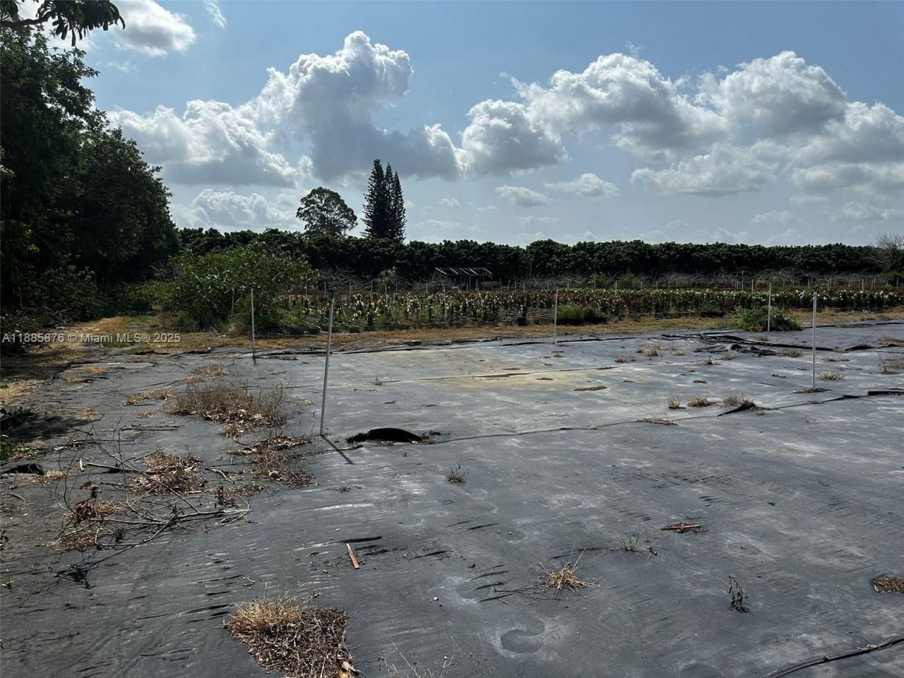 19815 SW 256 St, Homestead, FL 33031 Photo