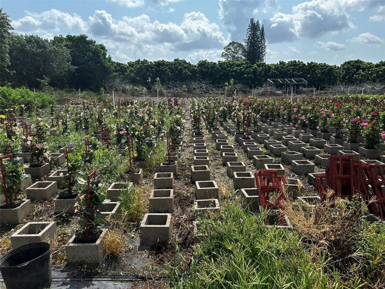 19815 SW 256 St, Homestead, FL 33031 Photo