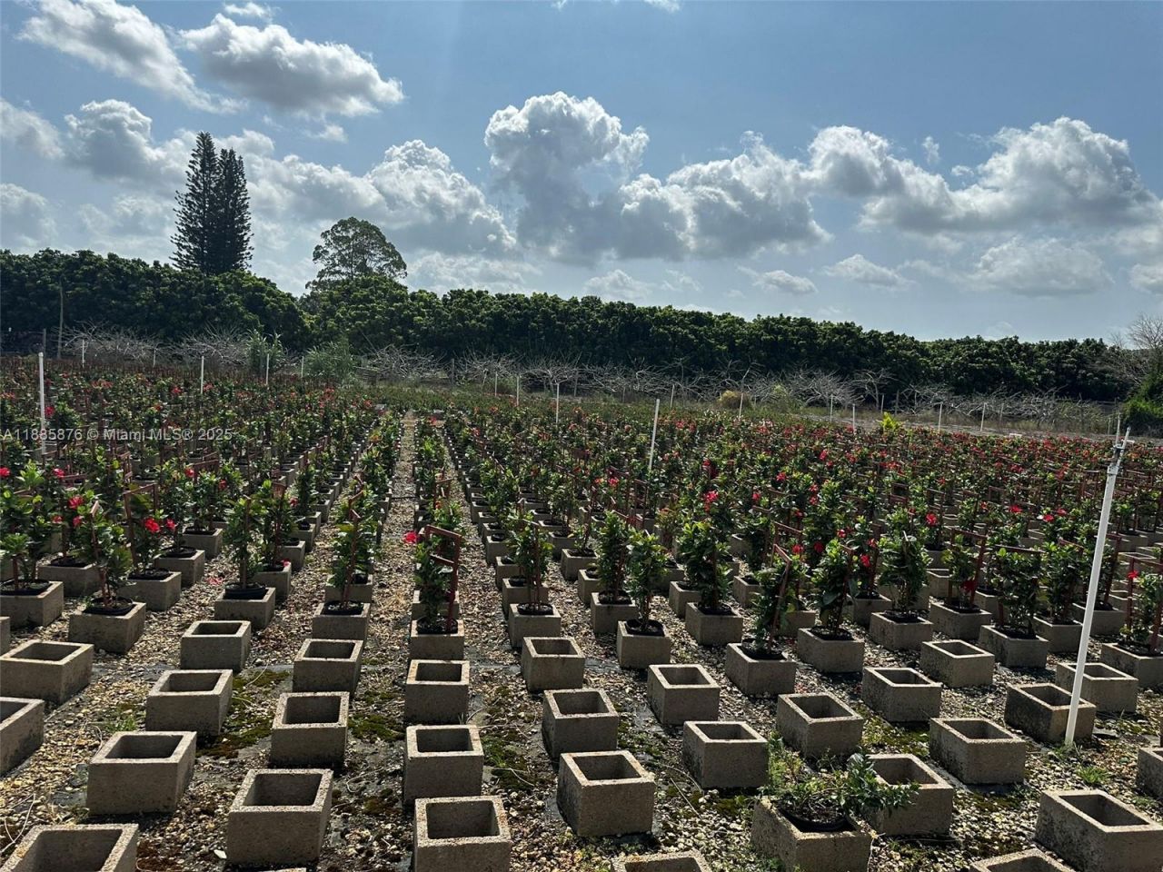 19815 SW 256 St, Homestead, FL 33031 Photo