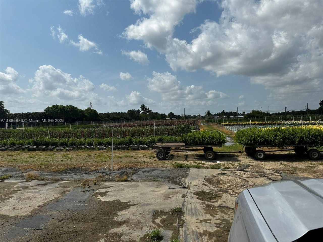 19815 SW 256 St, Homestead, FL 33031 Photo