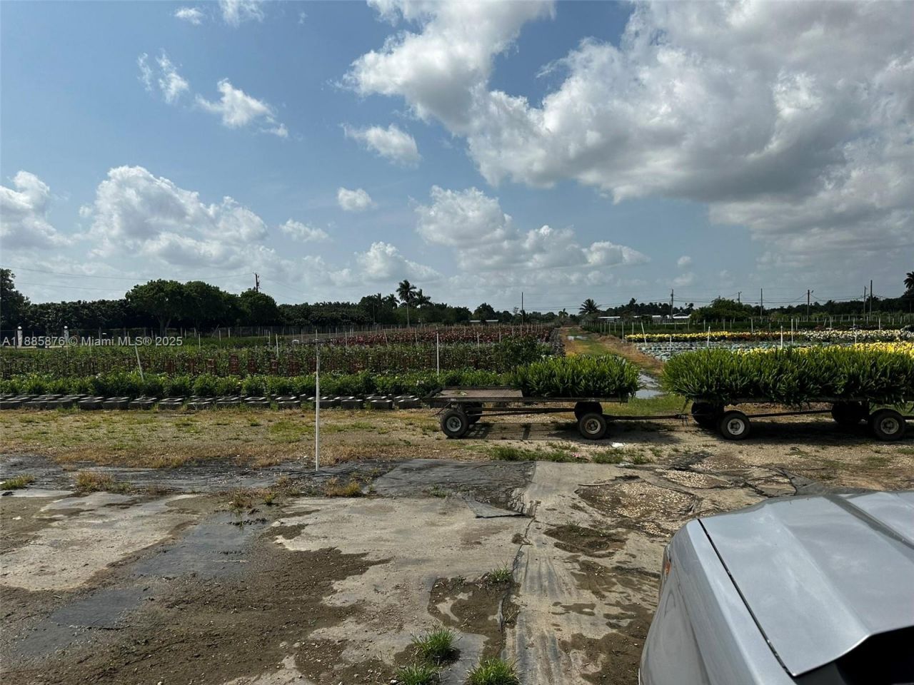 19815 SW 256 St, Homestead, FL 33031 Photo