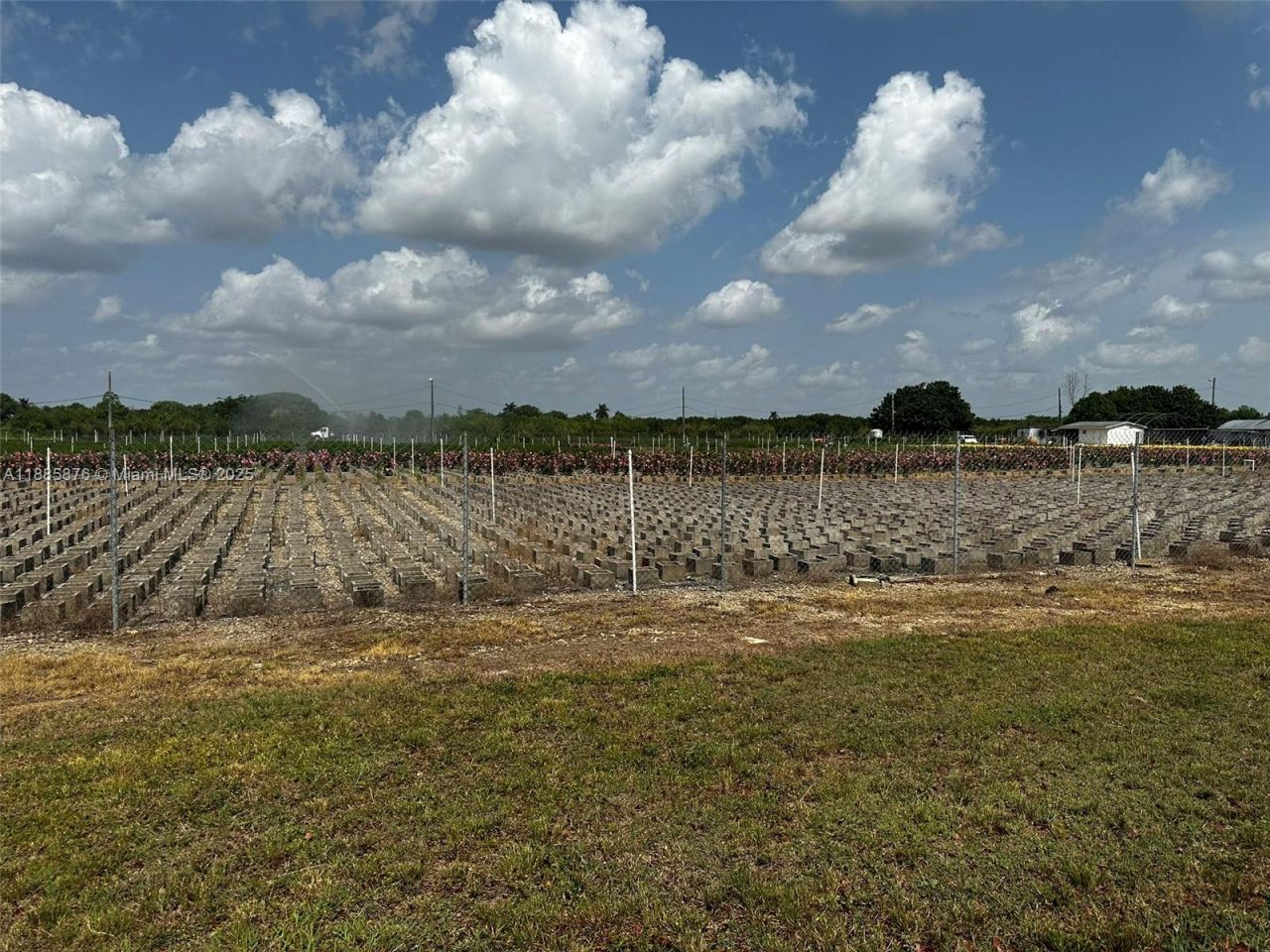 19815 SW 256 St, Homestead, FL 33031 Photo