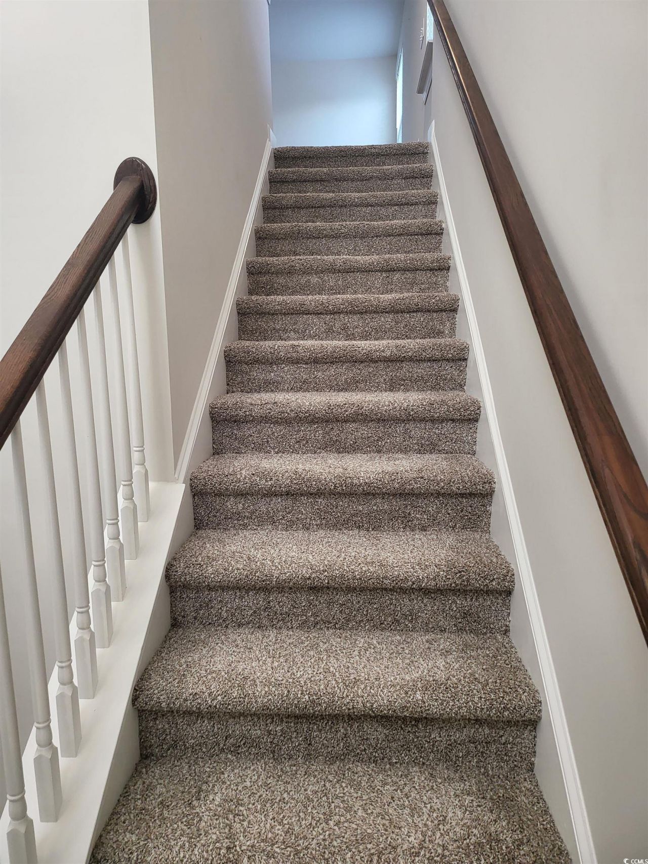 236 Goldenrod Circle Photo 15