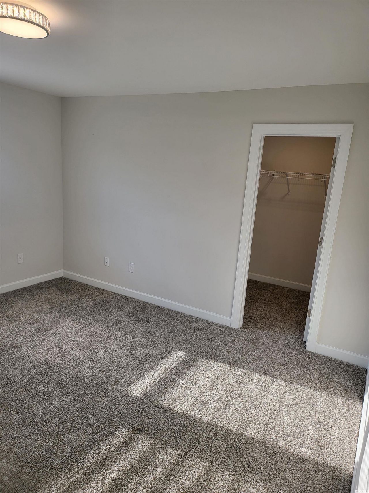 236 Goldenrod Circle Photo 18